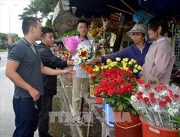 Đà Nẵng: Thị trường hoa, quà tặng ngày 20/10 vắng khách 